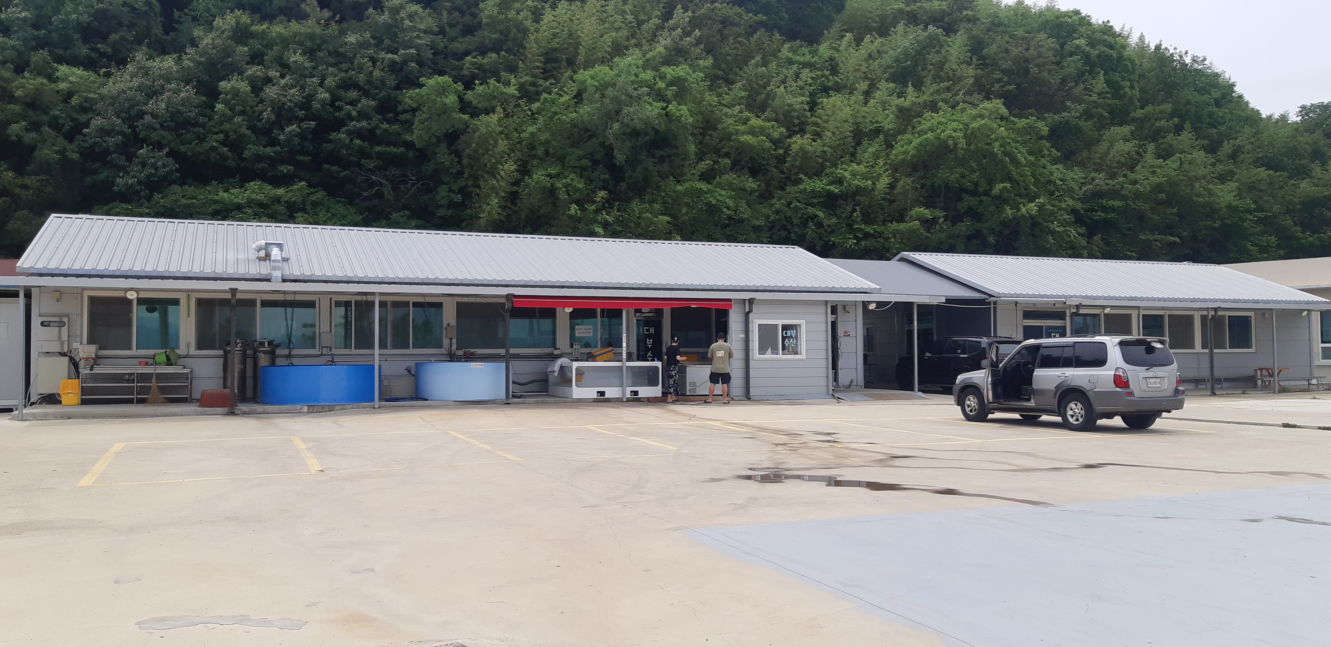 수영수산 이미지