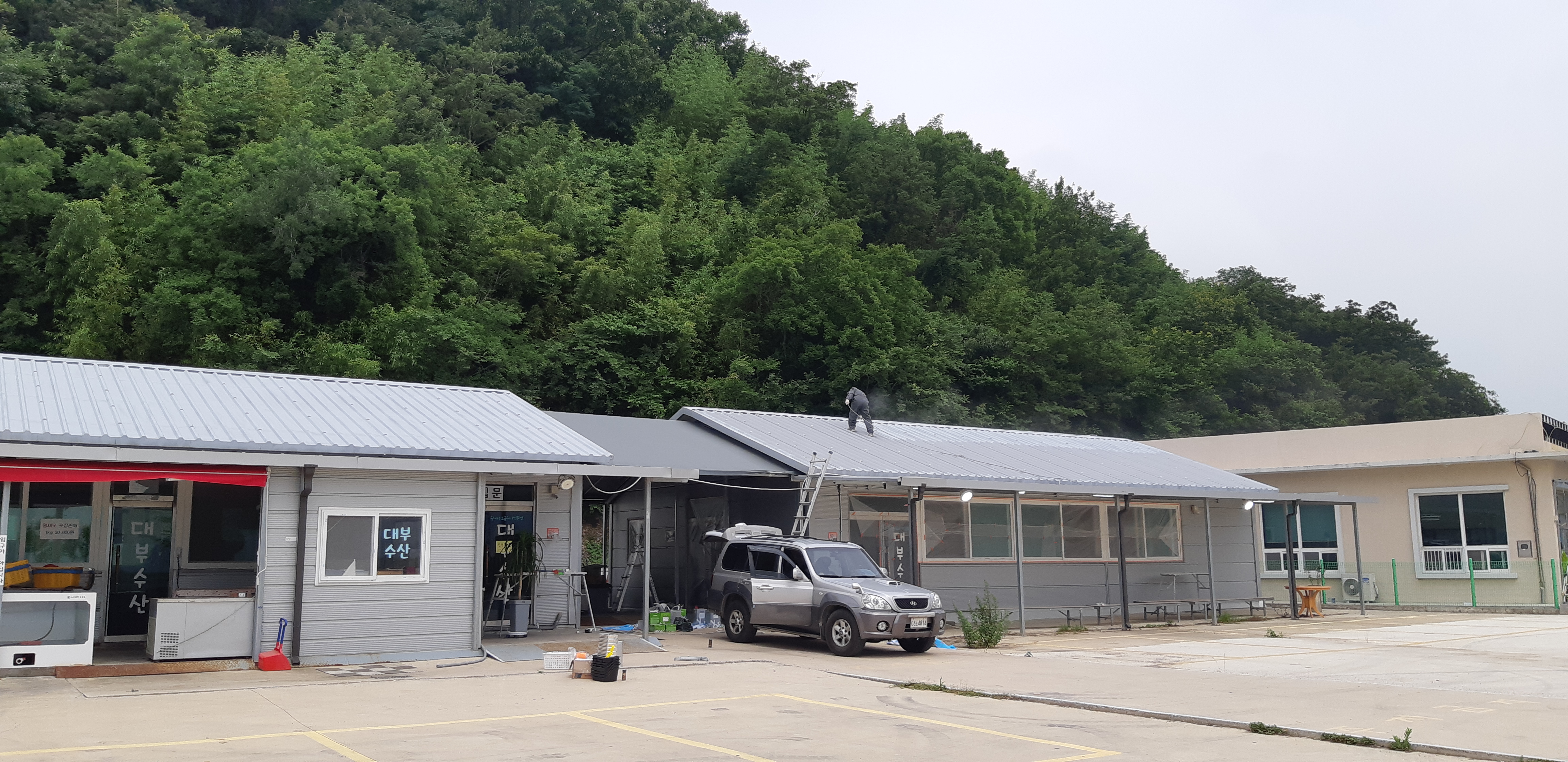 수영수산 이미지