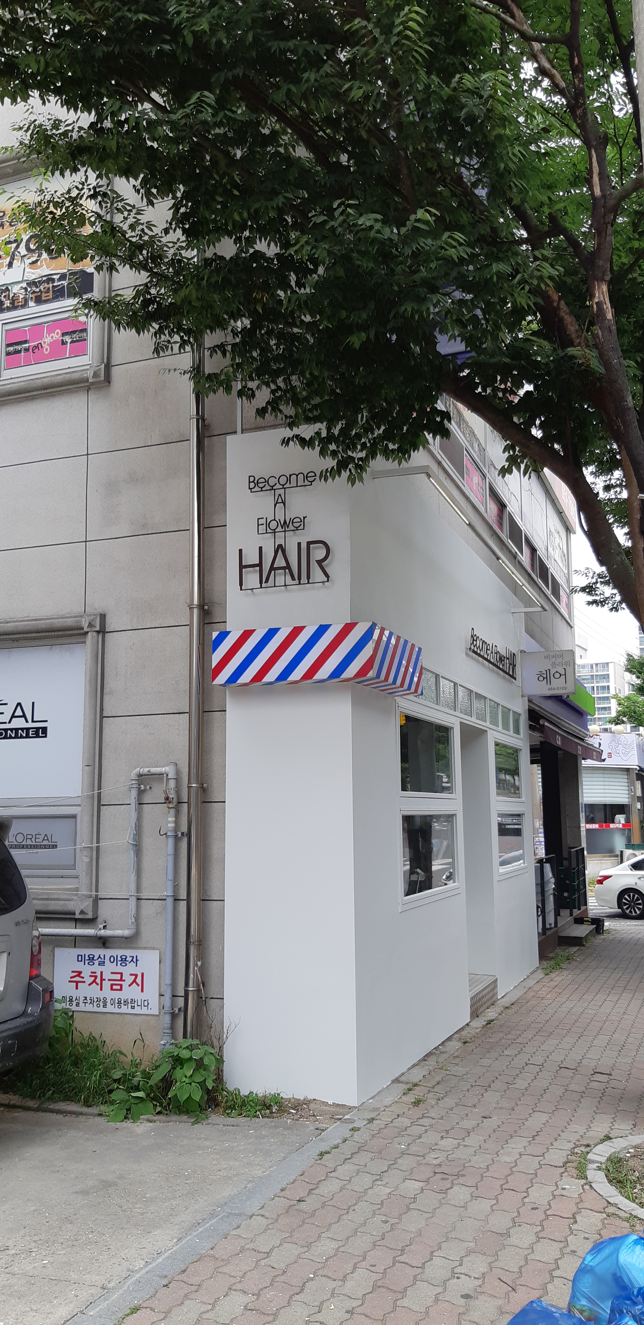 비커머플라워헤어 이미지