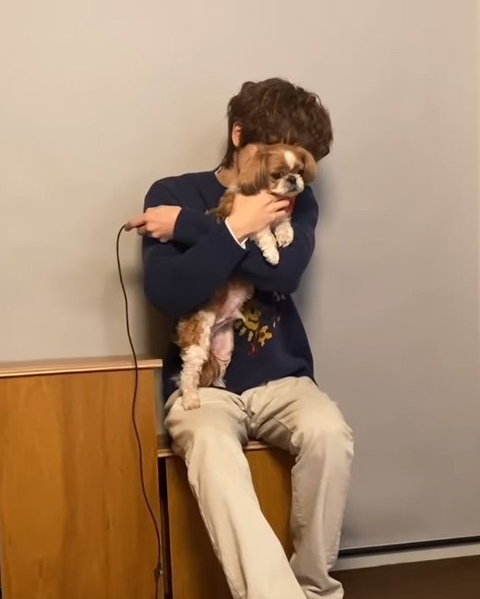 봉구 이미지