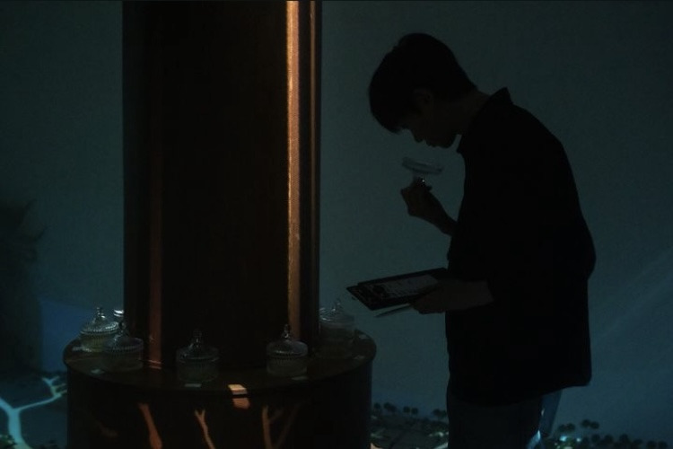 악센트 이미지