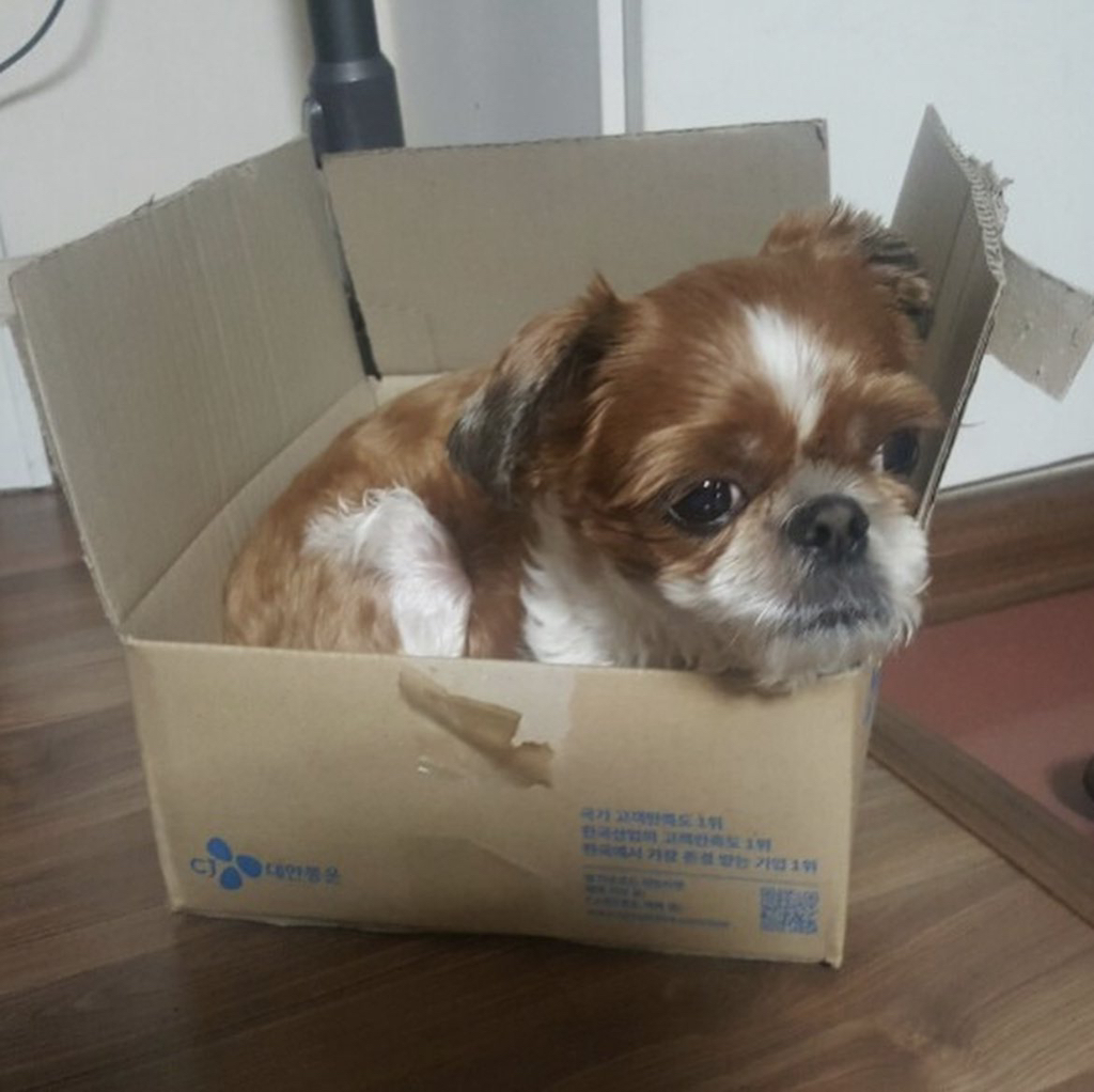 봉구 이미지