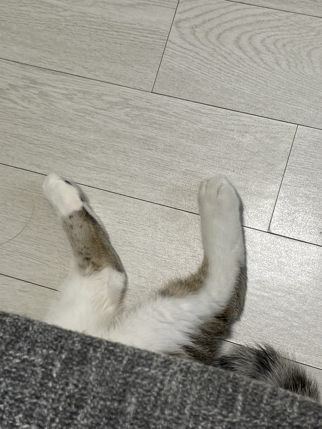 엠디 이미지
