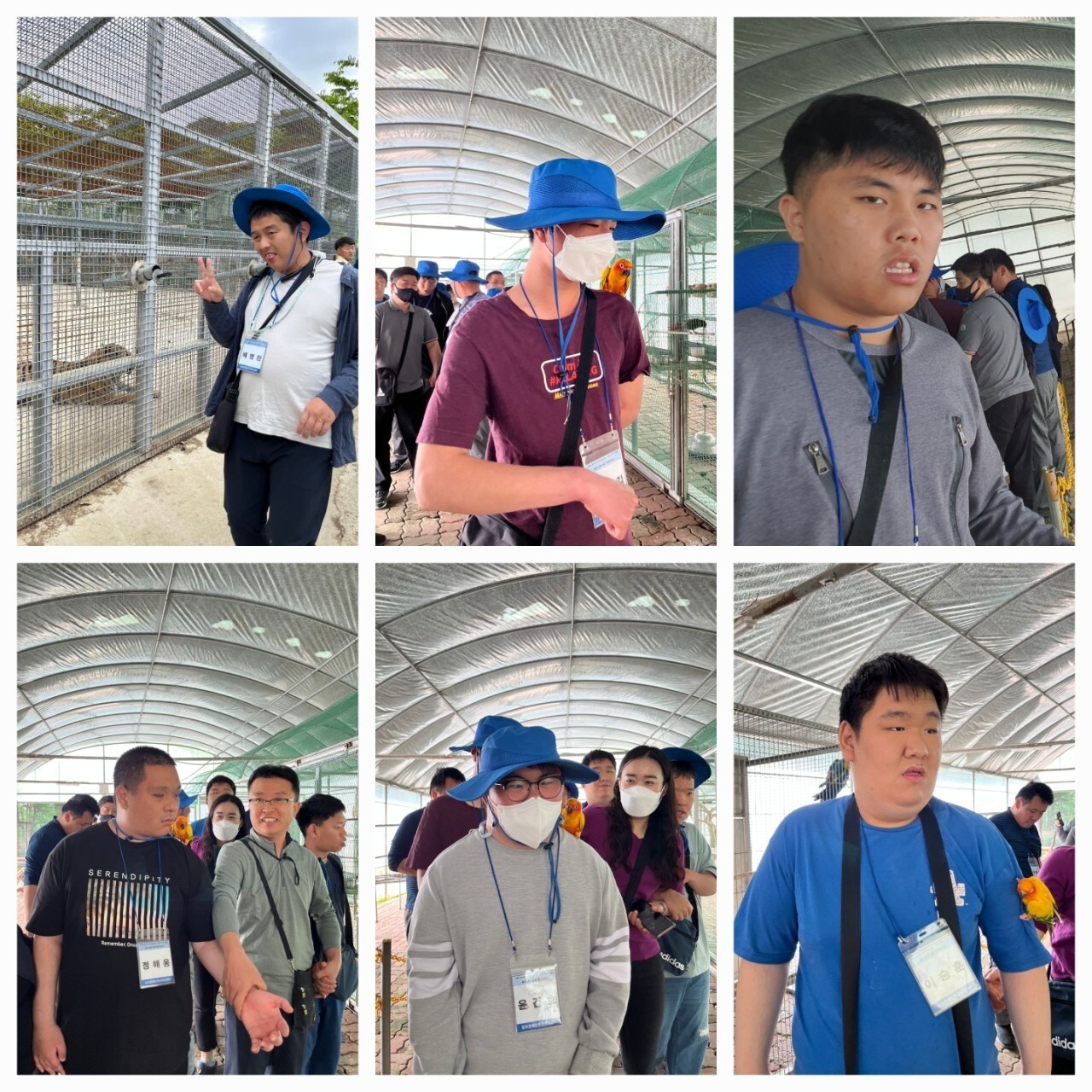 에스엠디주 이미지