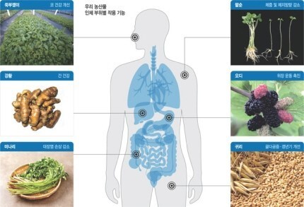 한경이네 농산물 이미지