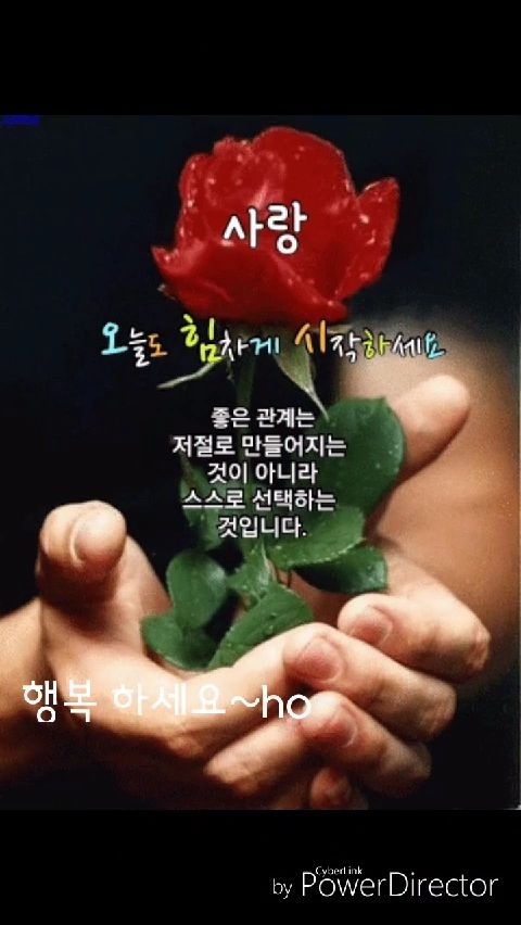 서로좋아 이미지
