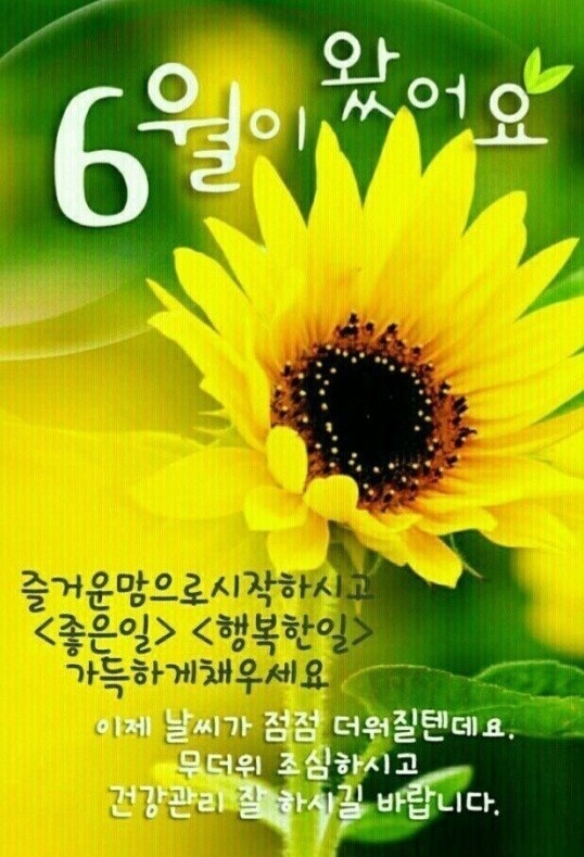 초록의계절 이미지