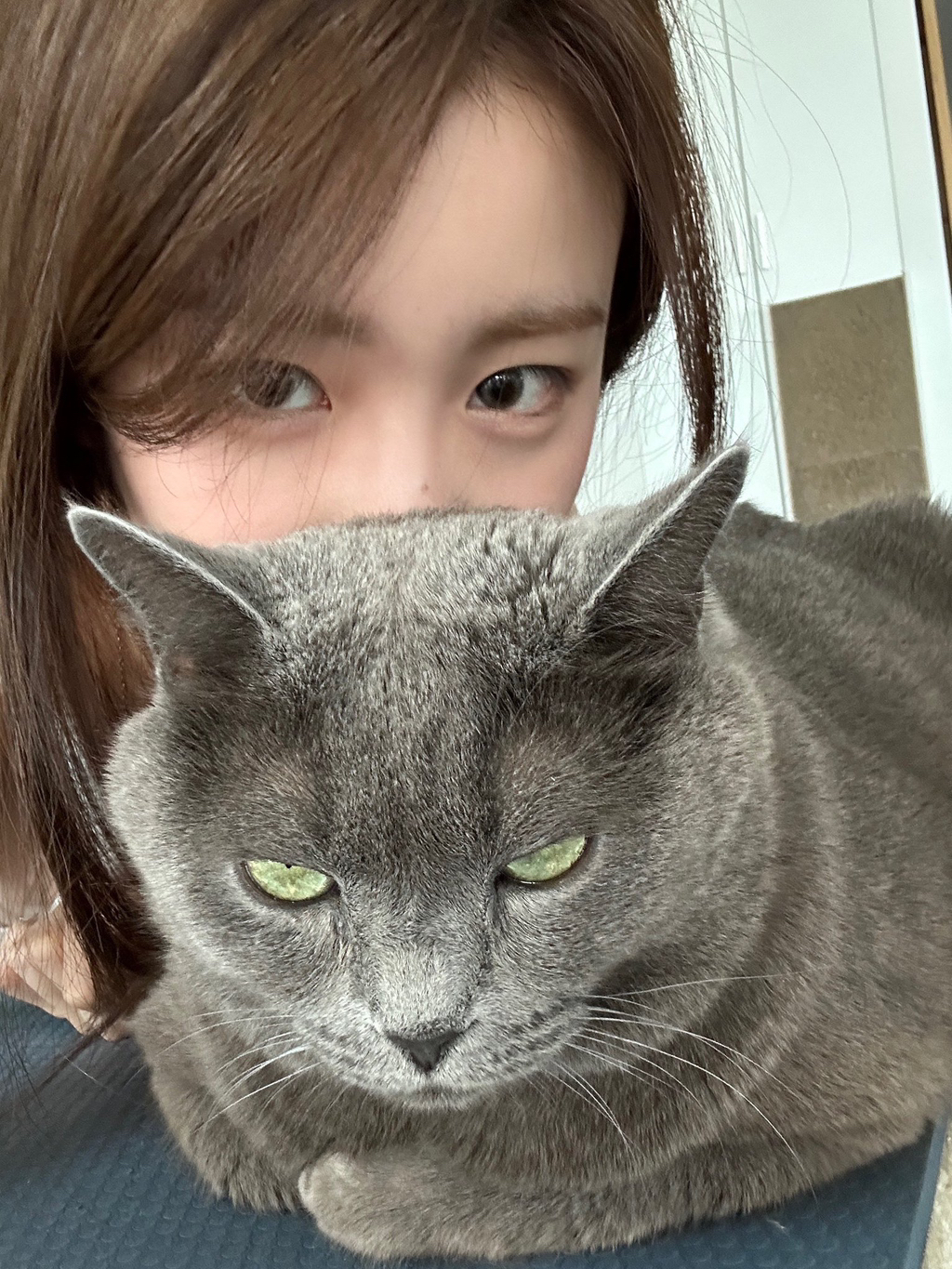 행운노래바 이미지