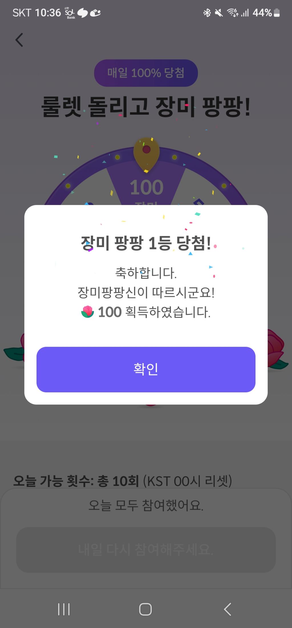 100송이 이미지