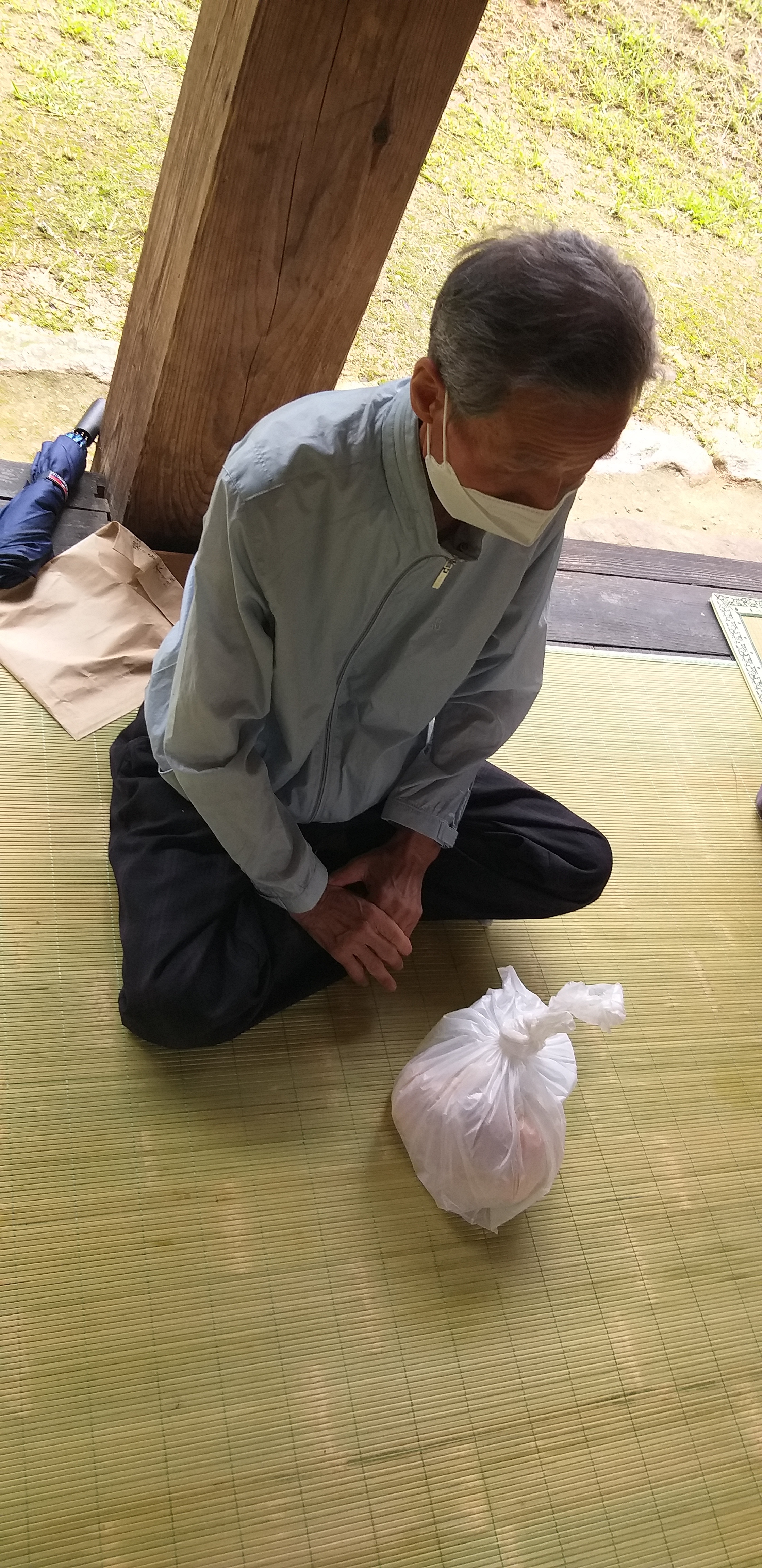 나떼 이미지
