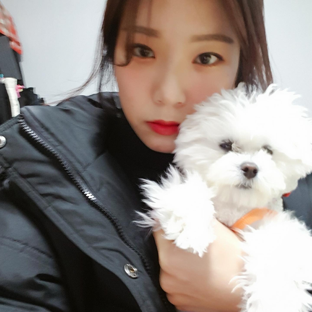 복실이 이미지
