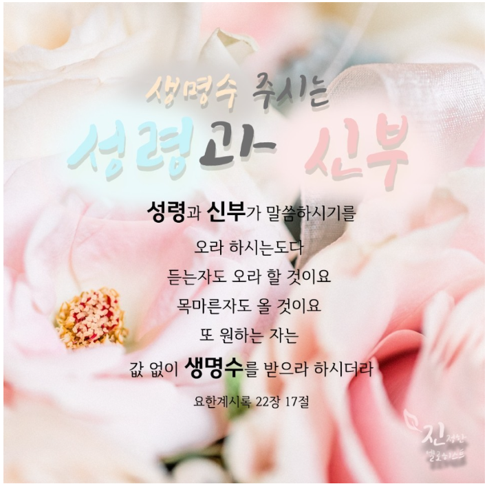 양마리아 이미지