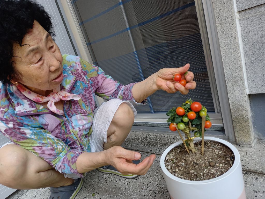 정금순 이미지
