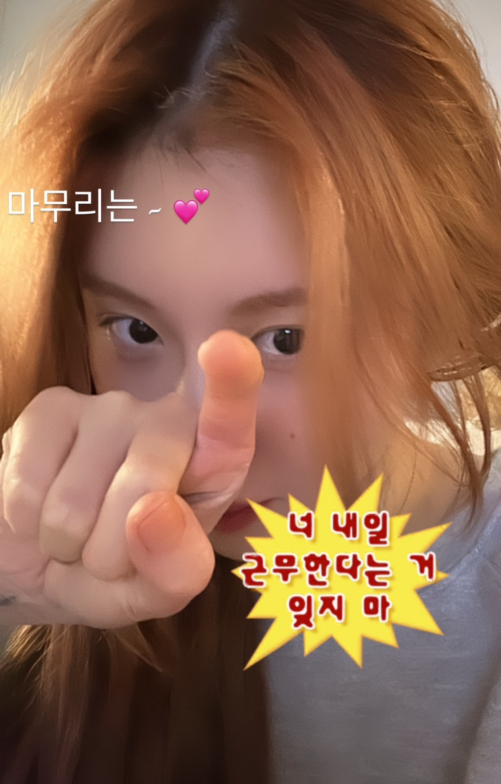 오분 이미지