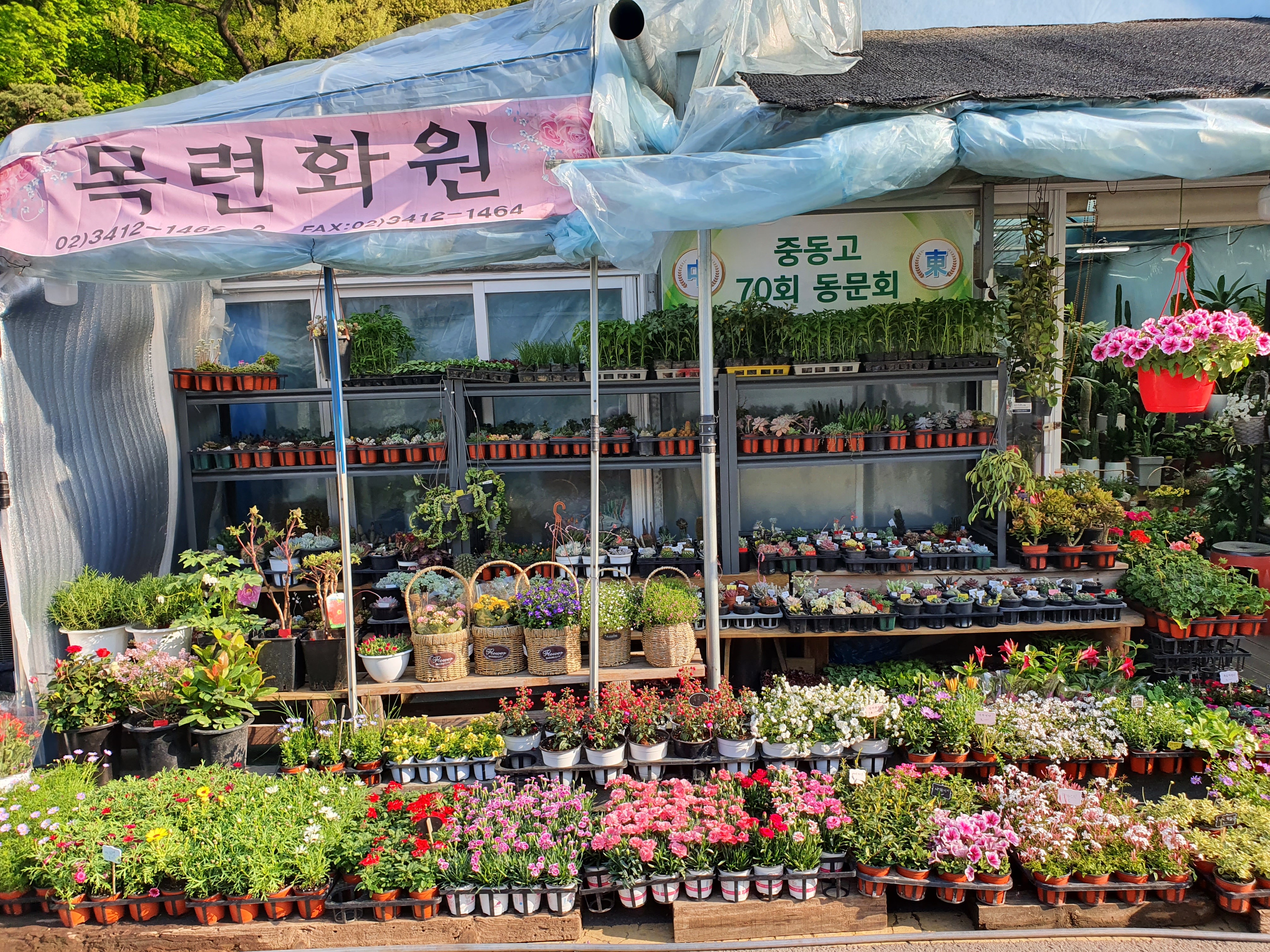 강남꽃화원 이미지