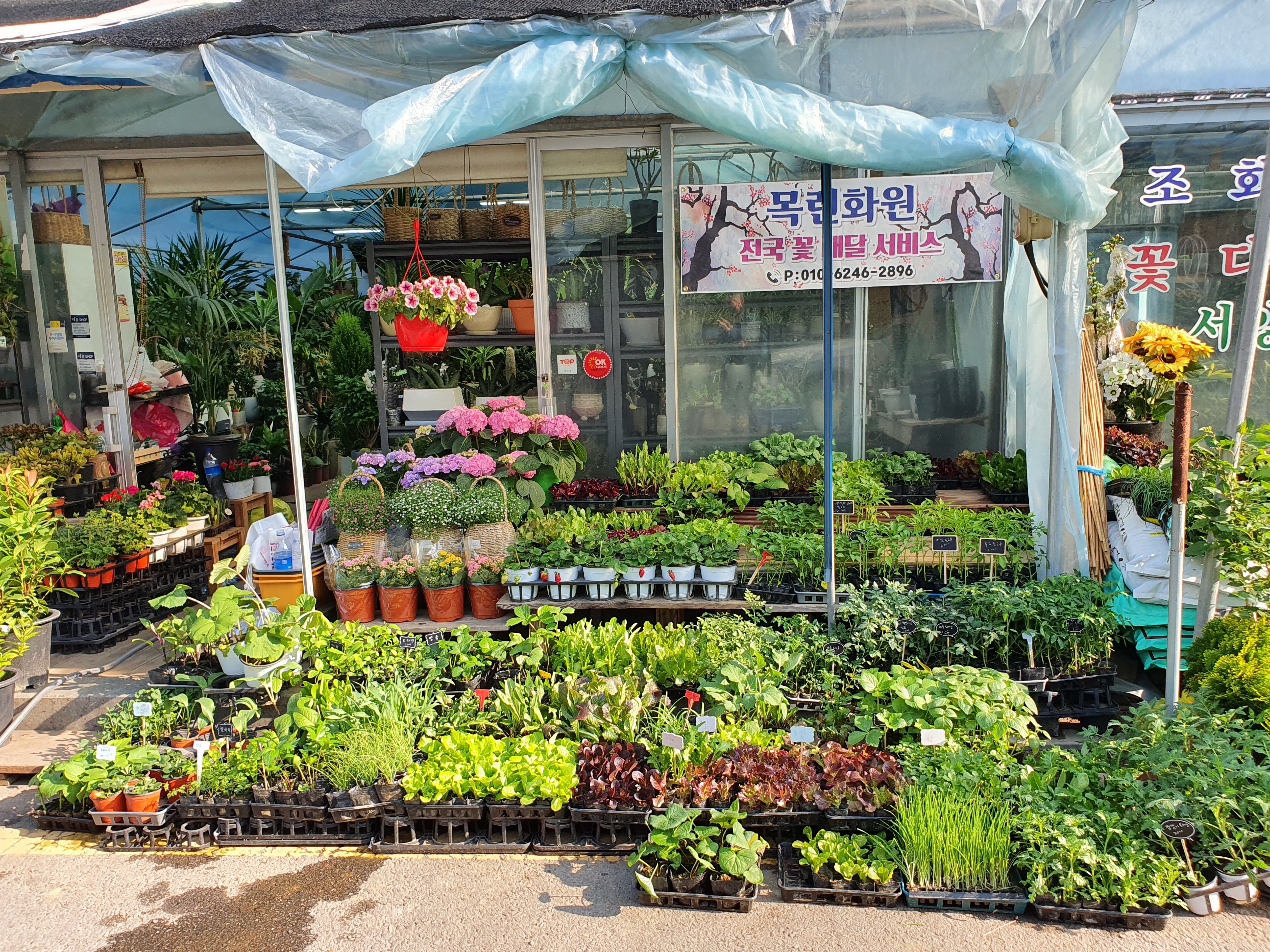 강남꽃화원 이미지
