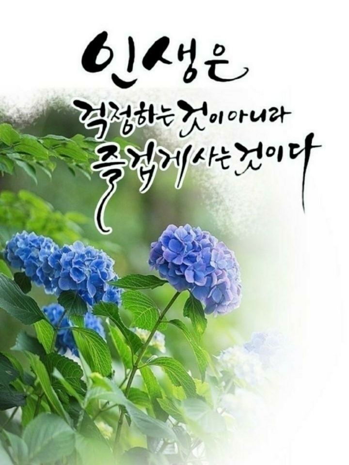 장수식품 이미지
