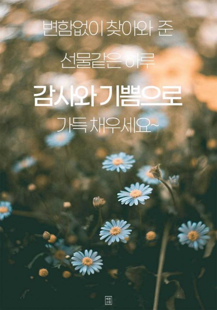 예쁜하루 이미지