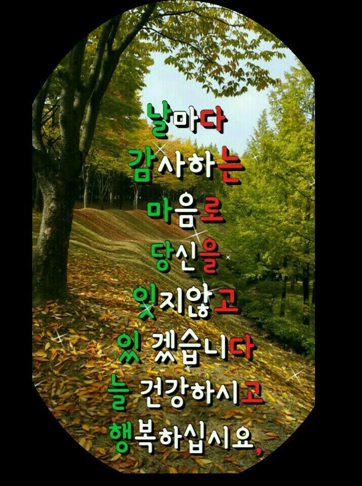 서울가나 이미지