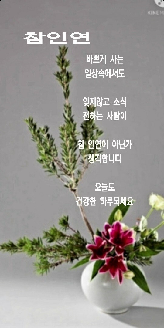 서울가나 이미지