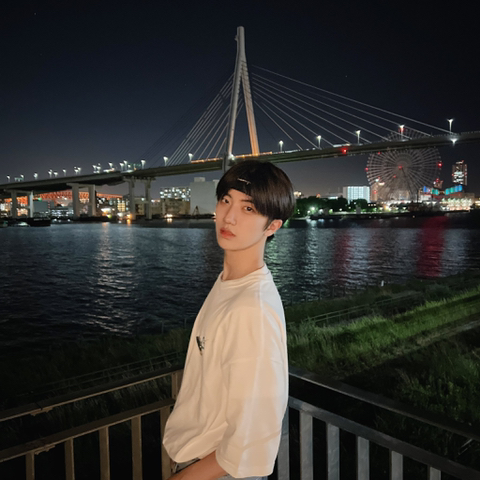 12 이미지