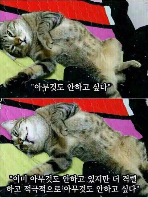 누군가에게 이미지