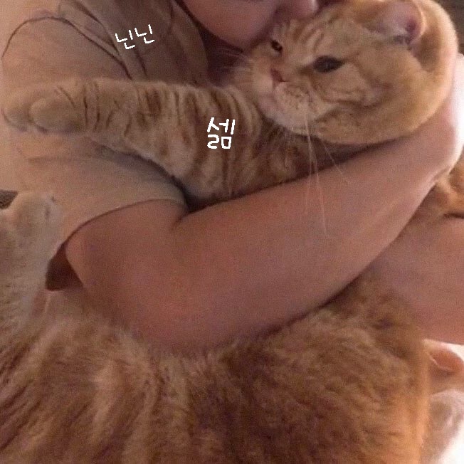 (주)비티투어 이미지