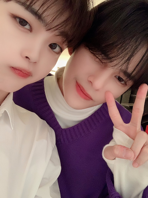세림 이미지