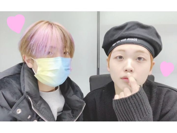 퐁즈 이미지