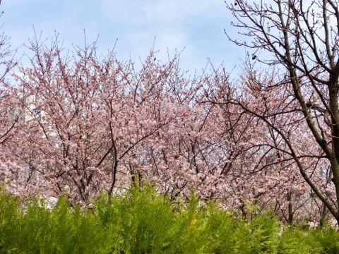 세림센터 이미지