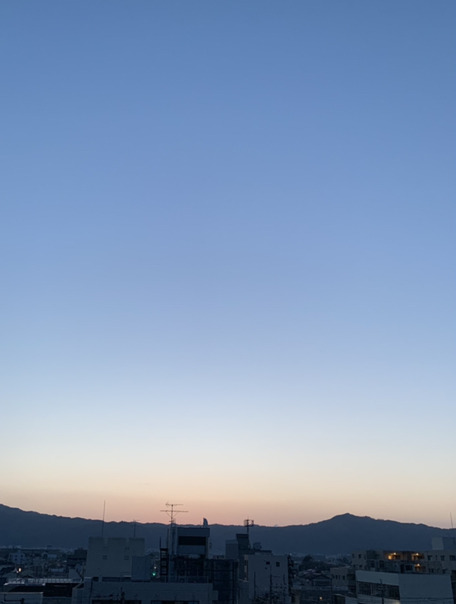 세림 이미지