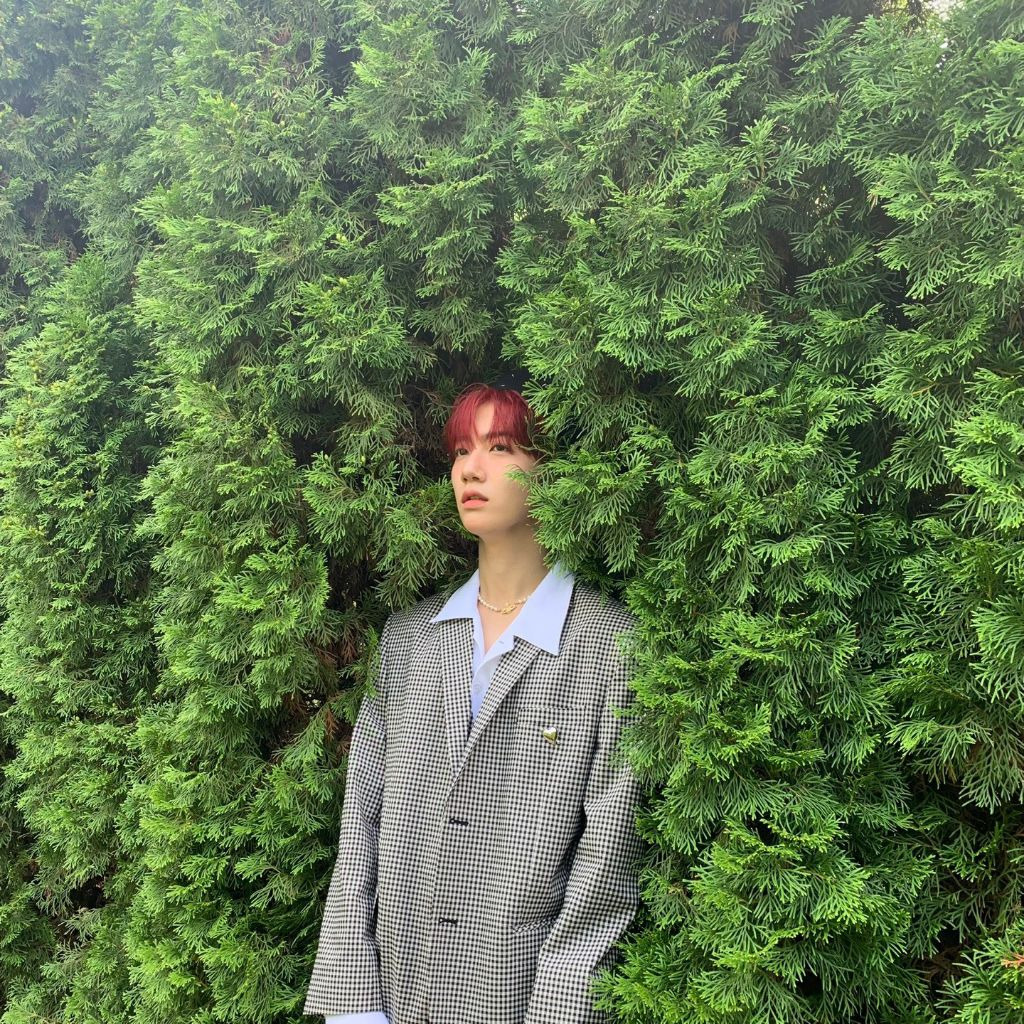 원진 이미지