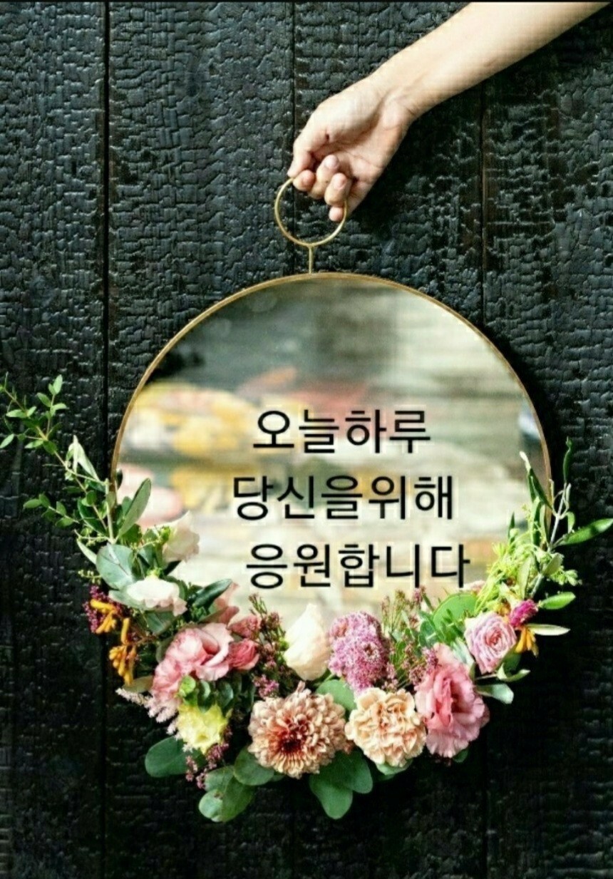 살랑골산약초 이미지