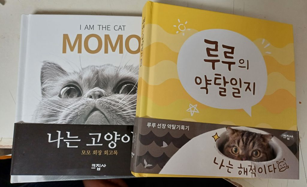 Daum 카페
