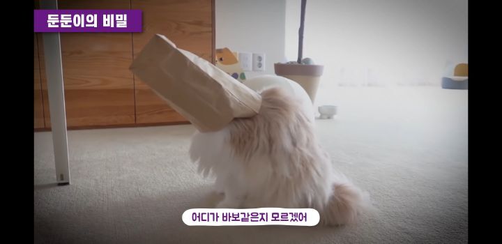 밥쟁이 이미지