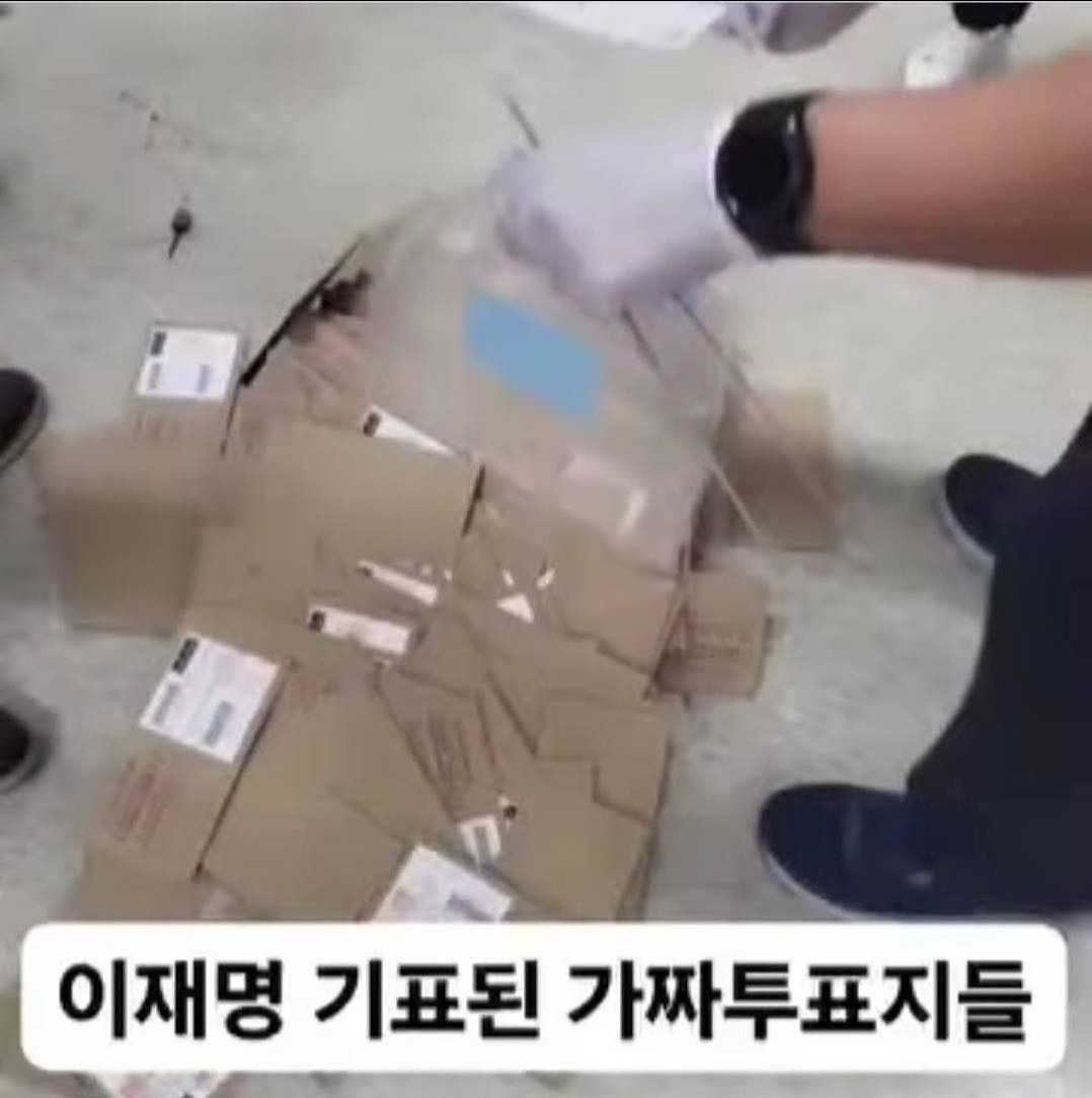 복성 이미지