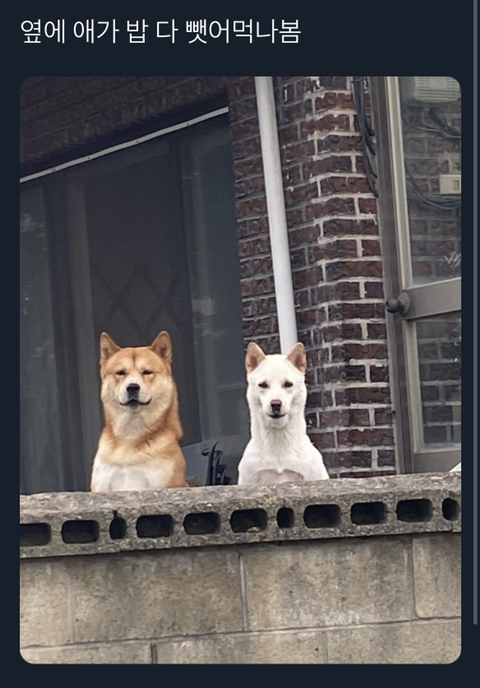 바바 이미지