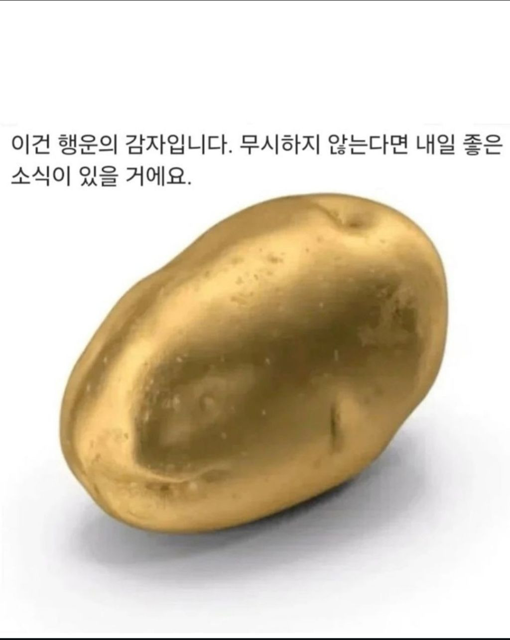 행운 이미지