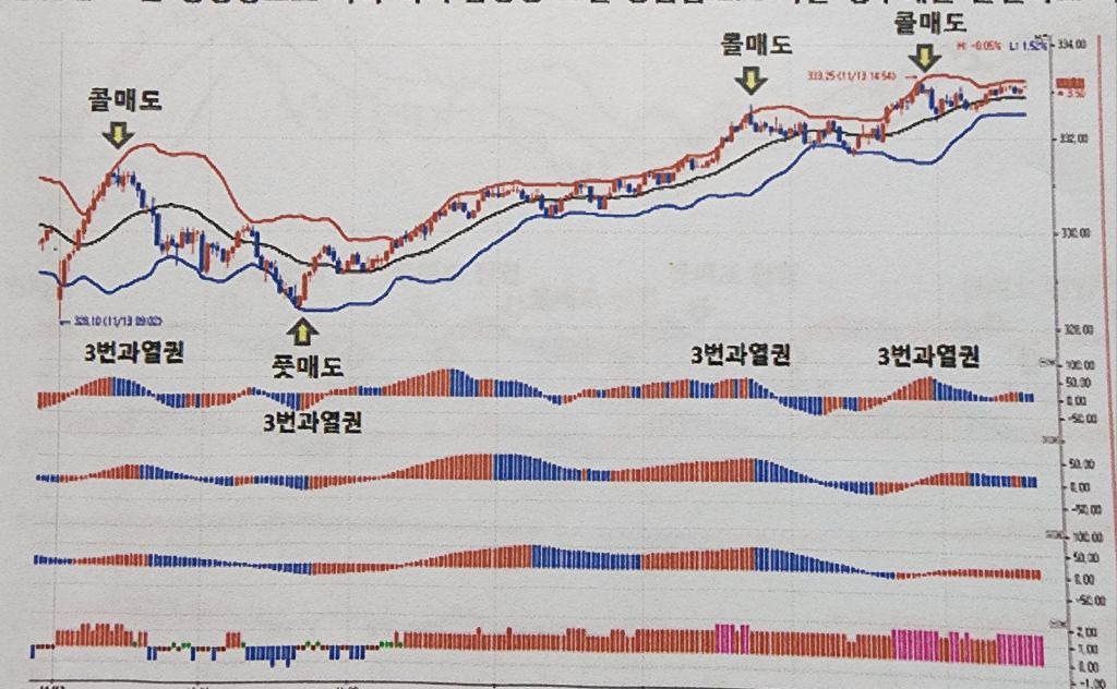 씽긋 이미지