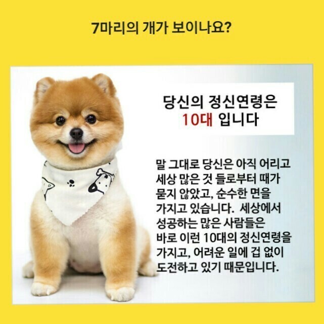 요거해 이미지