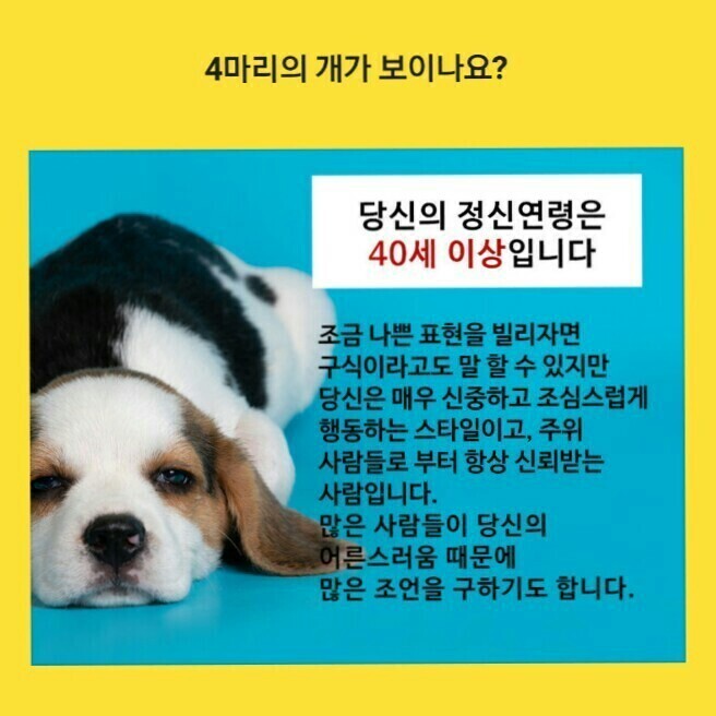 요거해 이미지