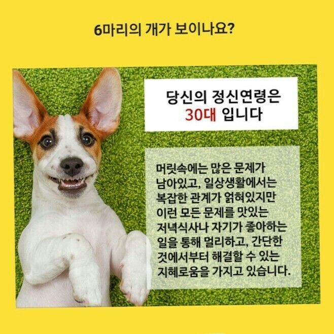 요거해 이미지