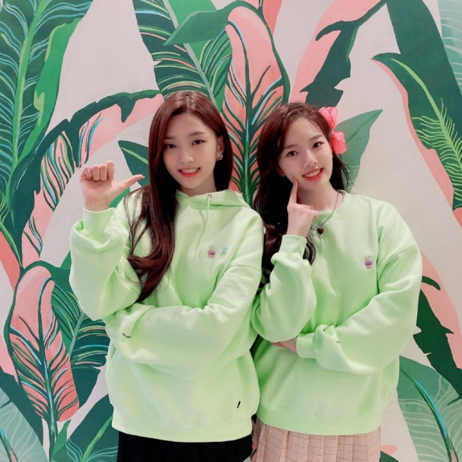 쏭스타 이미지
