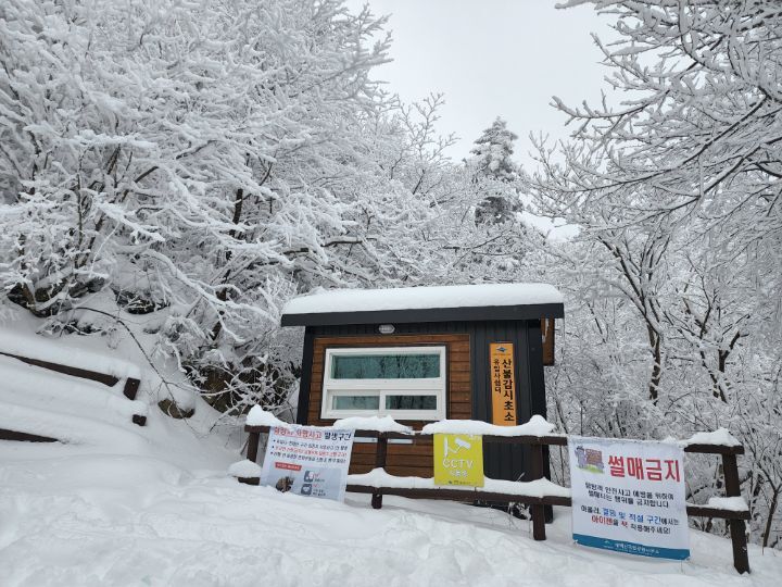 유일사 이미지