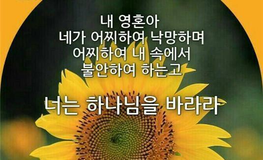 소망정신과 이미지