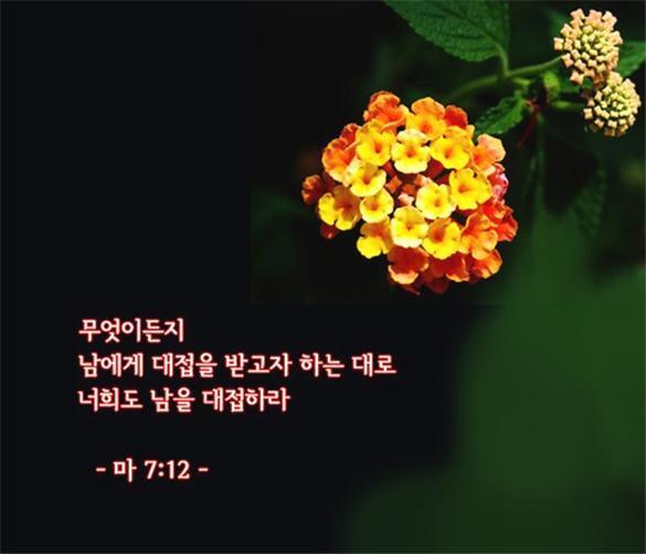 복음신발 이미지