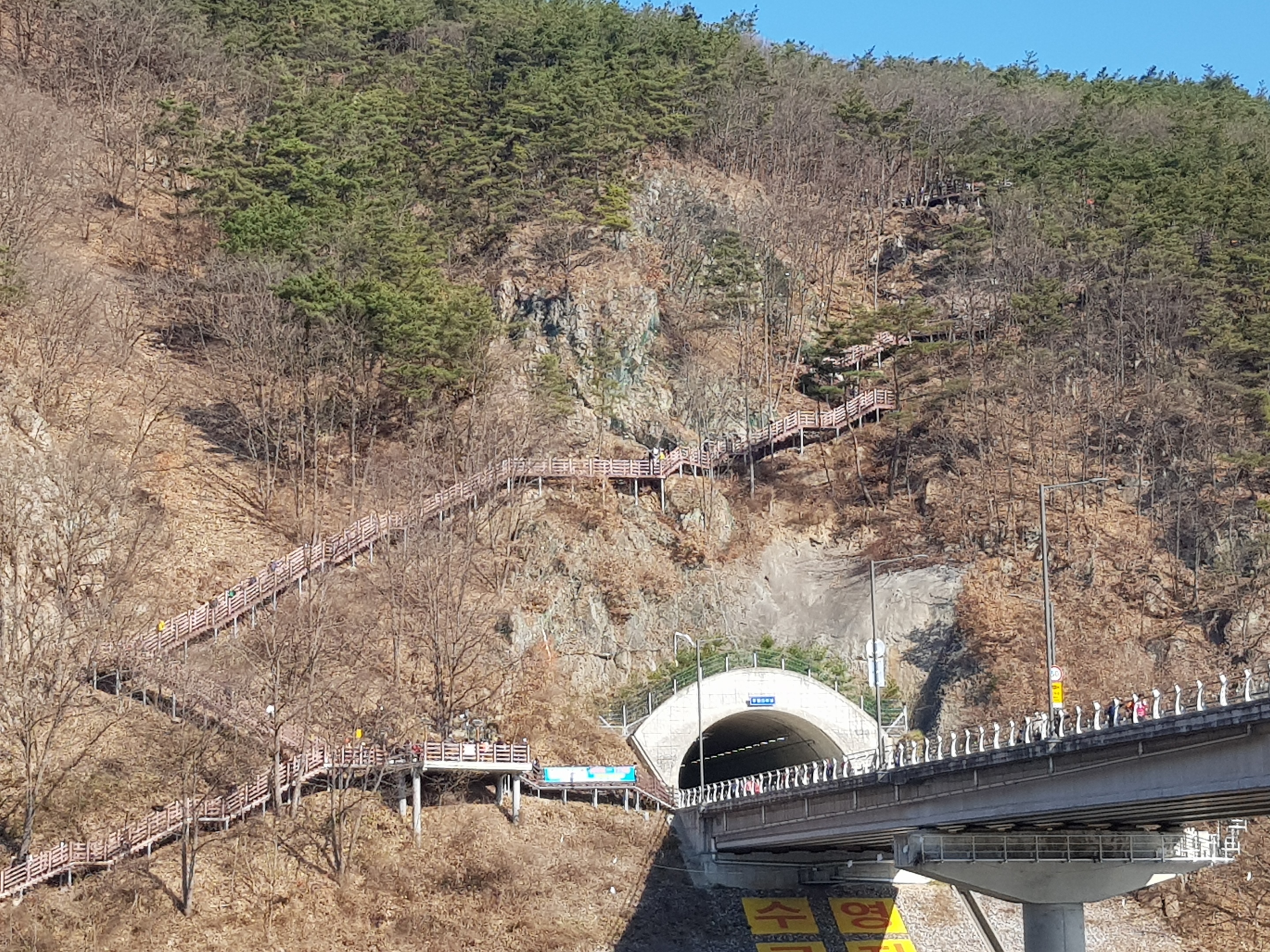 금산수삼센타 이미지