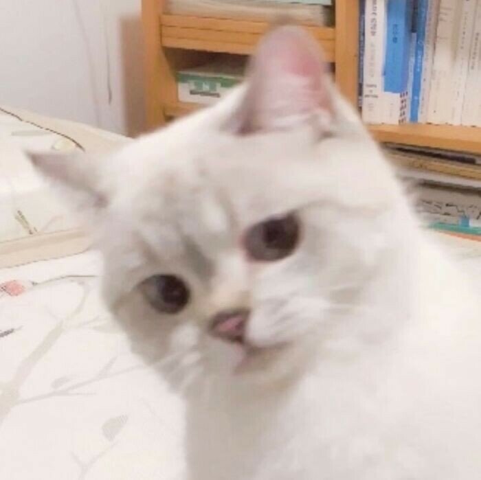 가람미공 이미지