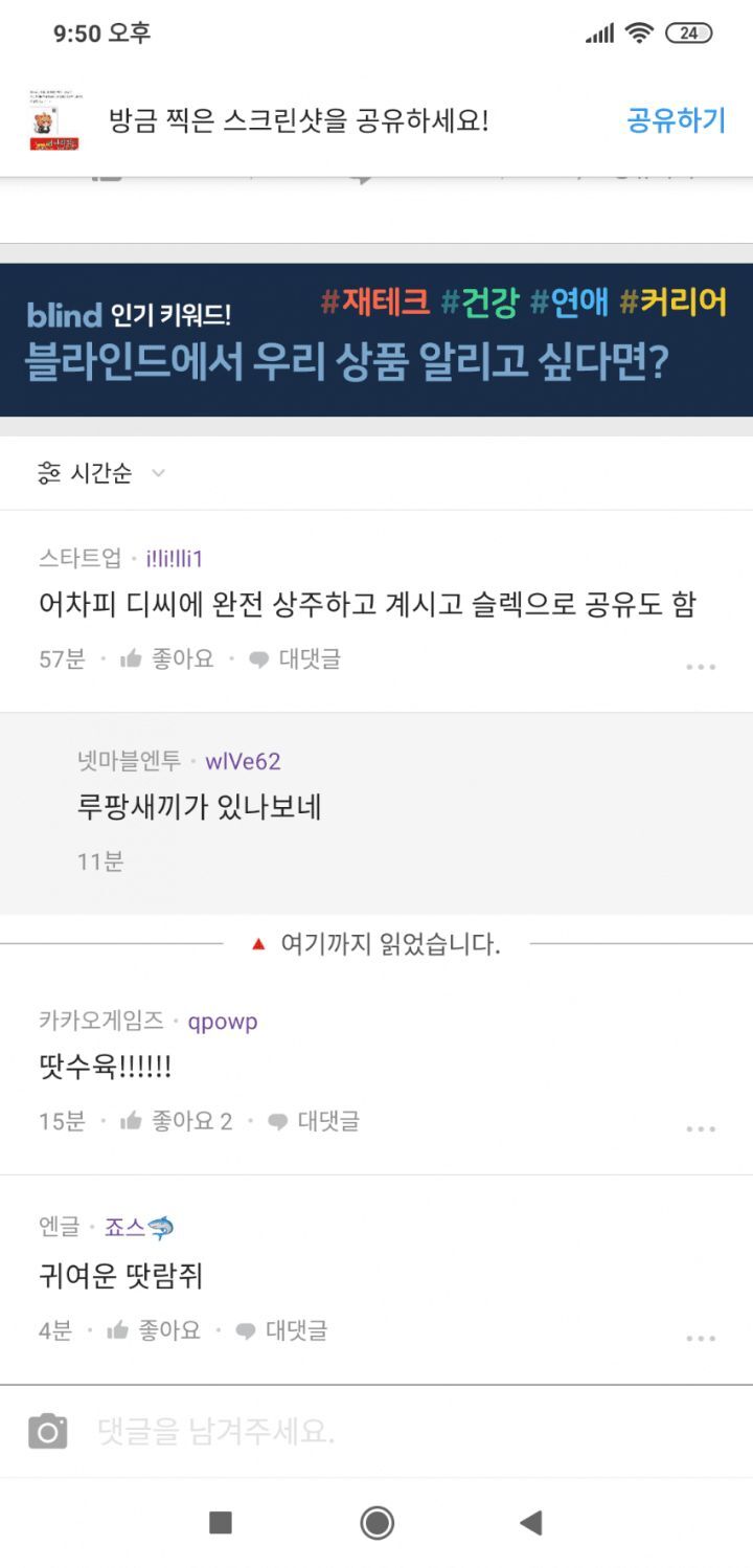 콩스 이미지