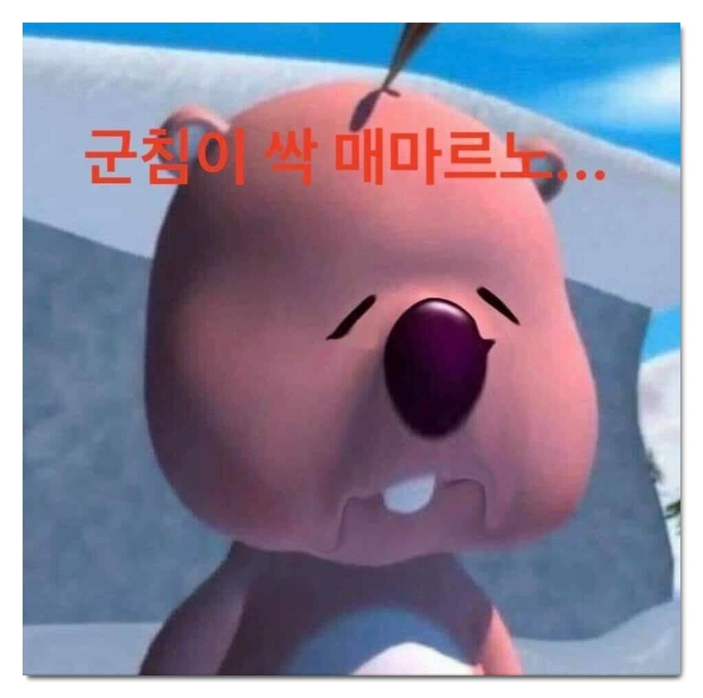 오르카 이미지